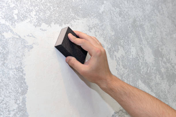 Best Emergency Mold Remediation  in Camn, DE
