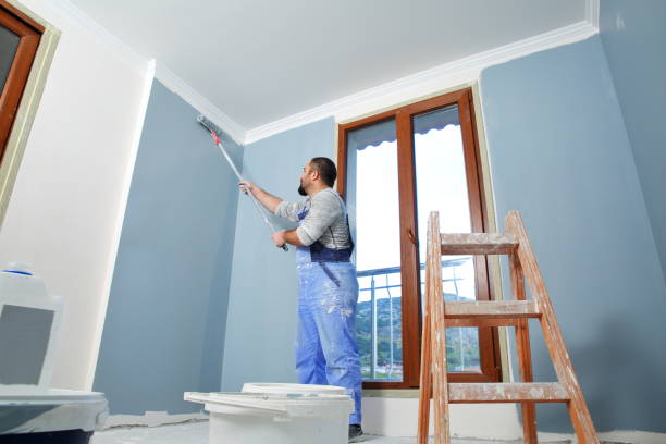  Camn, DE Mold Removal Pros