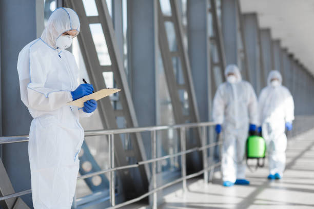 Best Mold-Related Health Consultation  in Camn, DE