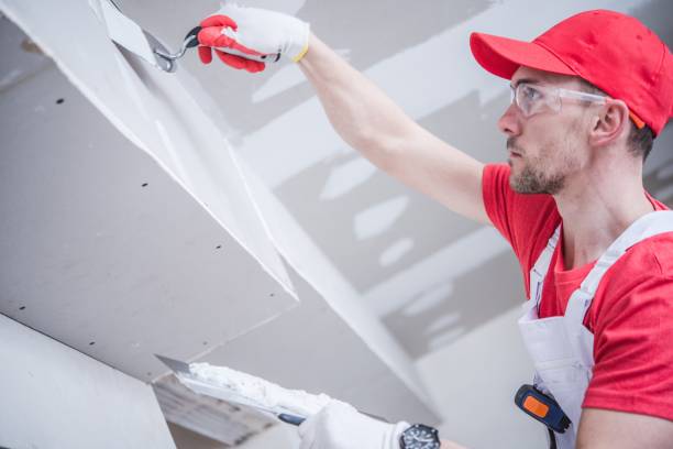 Best Mold Odor Removal Services  in Camn, DE