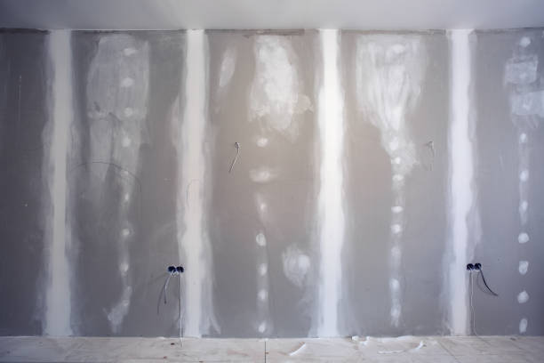 Trusted Camden, DE Mold Removal Experts